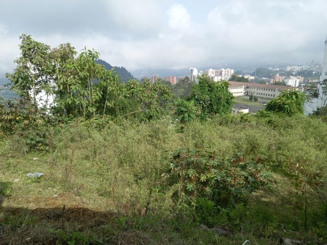 Lote en venta en Alto Del Perro, Manizales, 1280 m² · foto 14 de 24