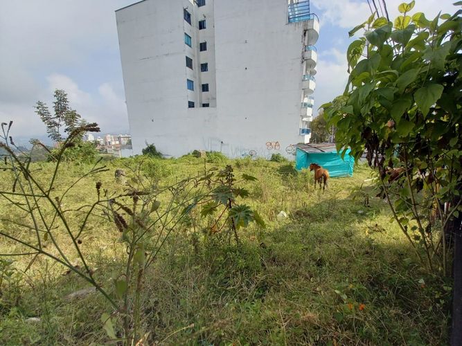 Lote en venta en Alto Del Perro, Manizales, 1280 m² · foto 15 de 24
