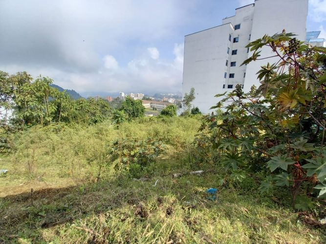 Lote en venta en Alto Del Perro, Manizales, 1280 m² · foto 17 de 24