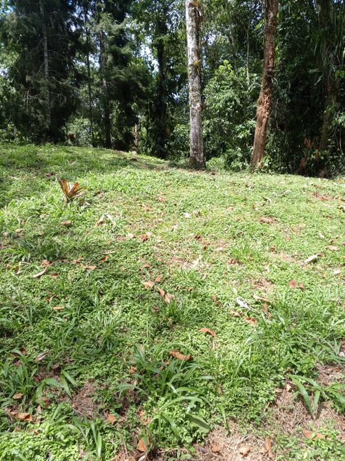 Lote en venta en Arabia, Pereira · foto 3 de 3