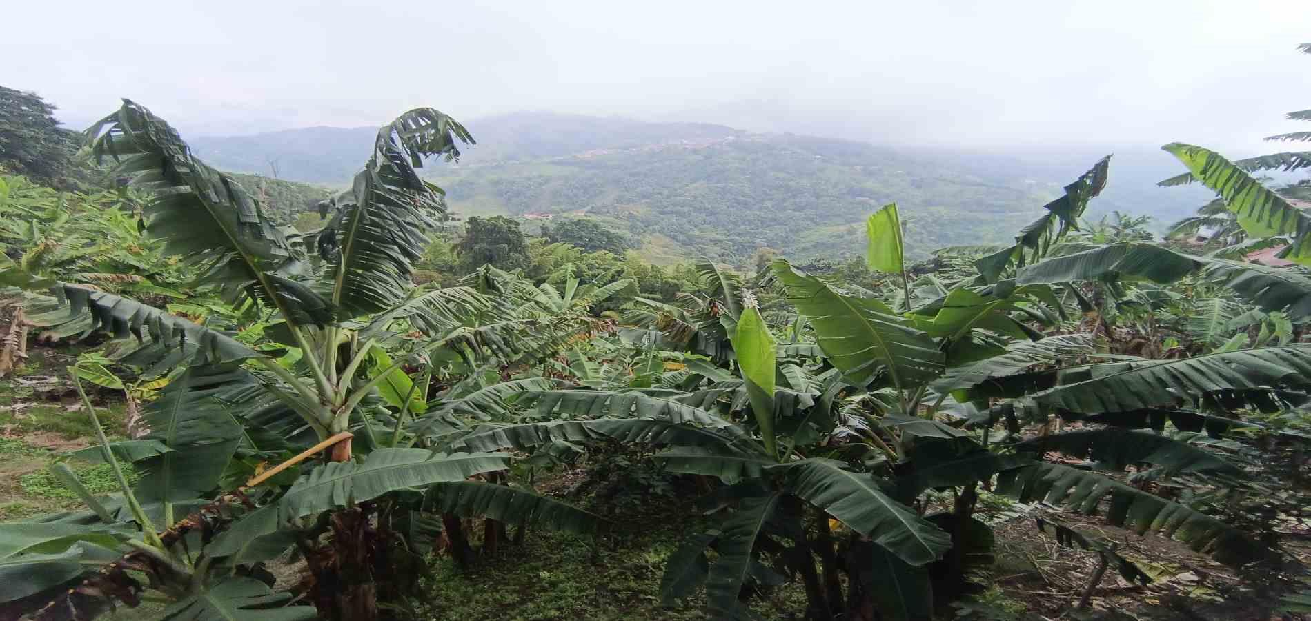 Casa en venta en Quiebra De Velez, Manizales · foto 23 de 23