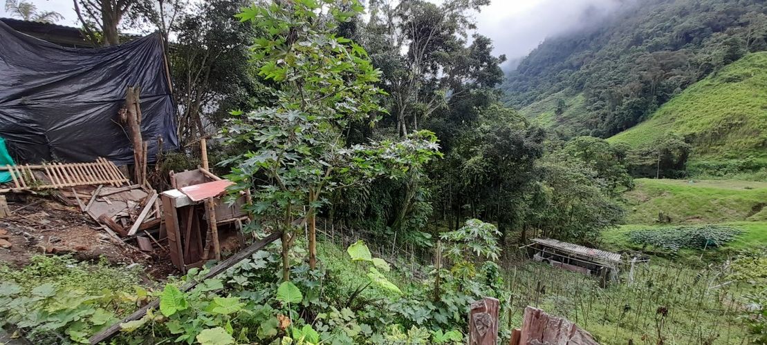 Lote en venta en Morrogacho Parte, Manizales, 266 m² · foto 2 de 13