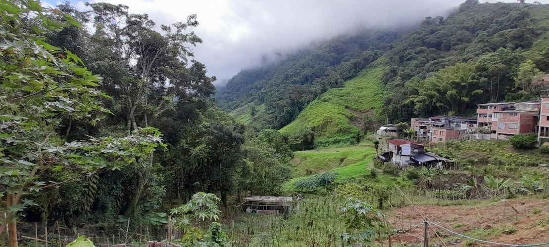 Lote en venta en Morrogacho Parte, Manizales, 266 m² · foto 3 de 13
