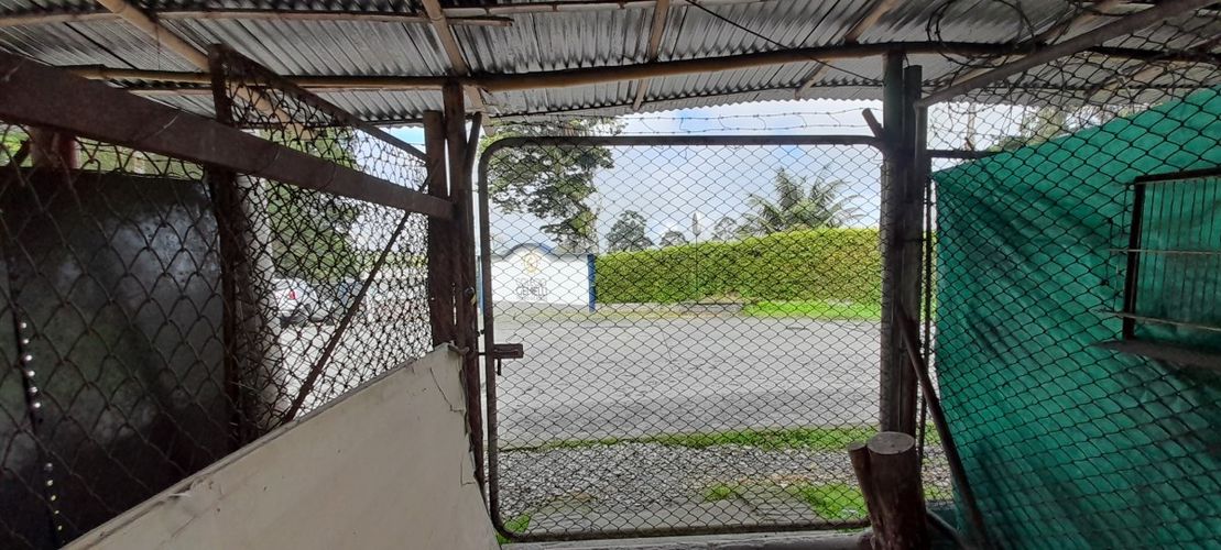 Lote en venta en Morrogacho Parte, Manizales, 266 m² · foto 13 de 13