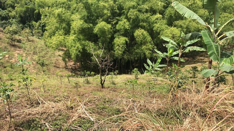 Lote en venta en Campestre A, Dosquebradas, 200 m² · foto 2 de 9