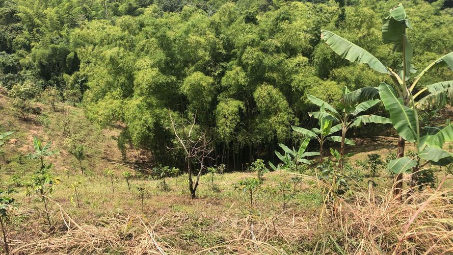 Lote en venta en Campestre A, Dosquebradas, 200 m² · foto 4 de 9