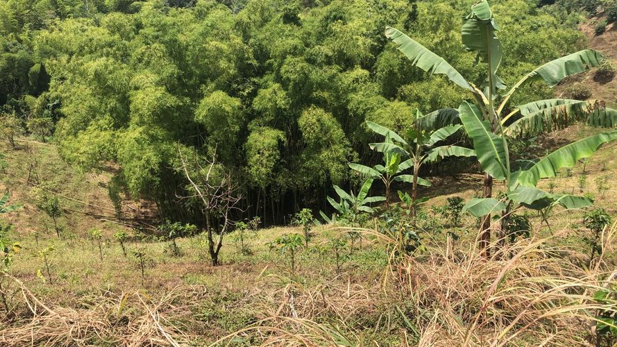 Lote en venta en Campestre A, Dosquebradas, 200 m² · foto 5 de 9