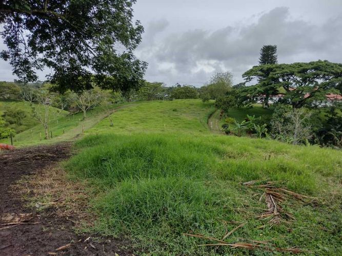 Lote en venta en La Estrella La Palm, Pereira, 3000 m² · foto 2 de 16