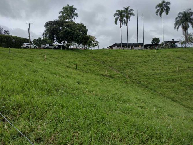 Lote en venta en La Estrella La Palm, Pereira, 3000 m² · foto 3 de 16