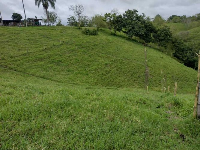 Lote en venta en La Estrella La Palm, Pereira, 3000 m² · foto 4 de 16