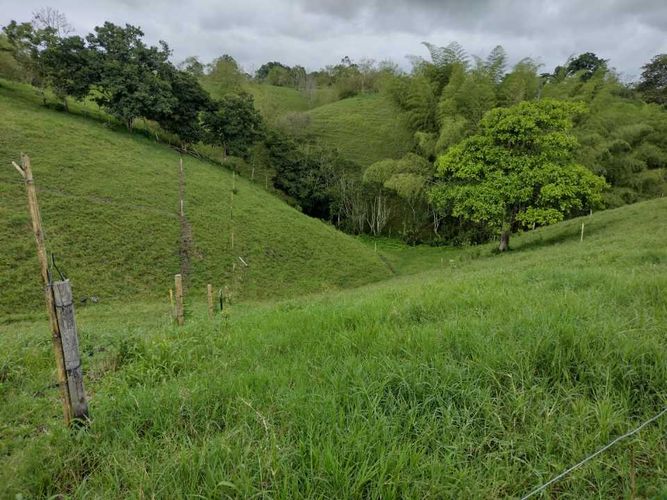 Lote en venta en La Estrella La Palm, Pereira, 3000 m² · foto 5 de 16