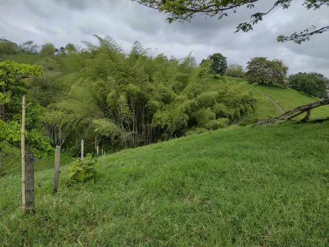 Lote en venta en La Estrella La Palm, Pereira, 3000 m² · foto 6 de 16