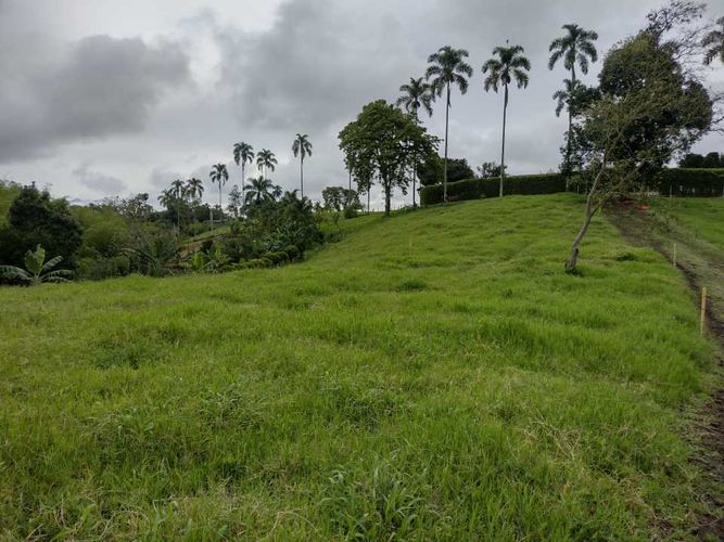 Lote en venta en La Estrella La Palm, Pereira, 3000 m² · foto 7 de 16