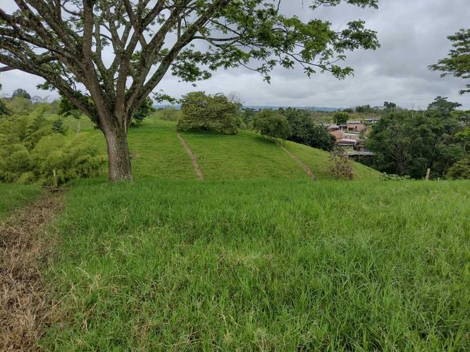 Lote en venta en La Estrella La Palm, Pereira, 3000 m² · foto 9 de 16