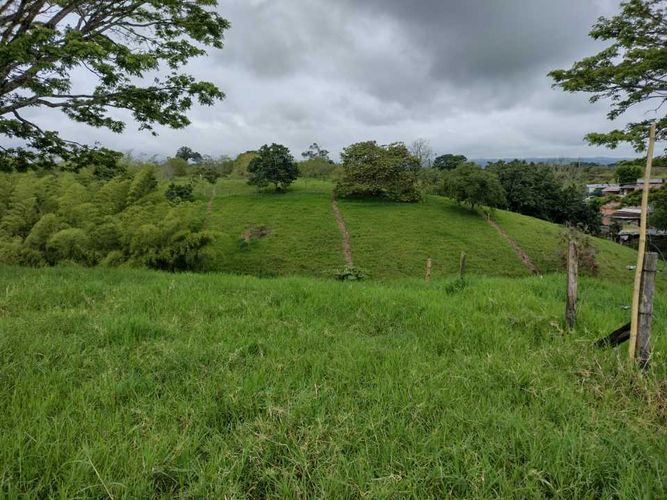 Lote en venta en La Estrella La Palm, Pereira, 3000 m² · foto 10 de 16