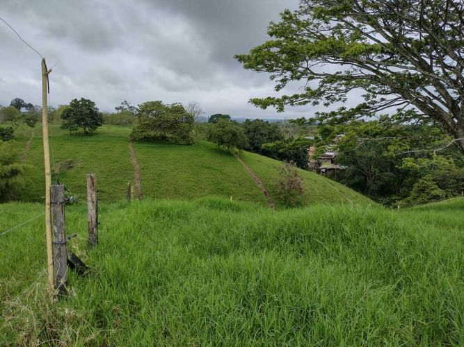 Lote en venta en La Estrella La Palm, Pereira, 3000 m² · foto 11 de 16