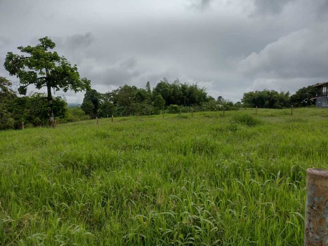 Lote en venta en La Estrella La Palm, Pereira, 3000 m² · foto 12 de 16
