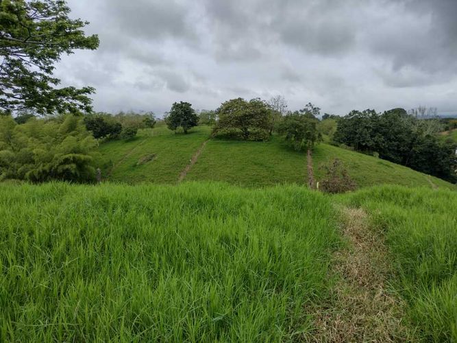Lote en venta en La Estrella La Palm, Pereira, 3000 m² · foto 13 de 16