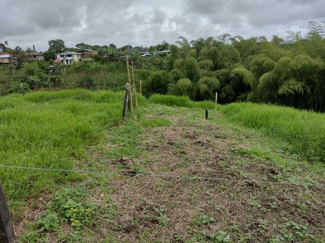 Lote en venta en La Estrella La Palm, Pereira, 3000 m² · foto 14 de 16