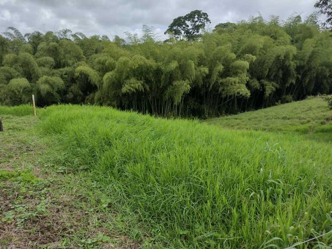 Lote en venta en La Estrella La Palm, Pereira, 3000 m² · foto 15 de 16