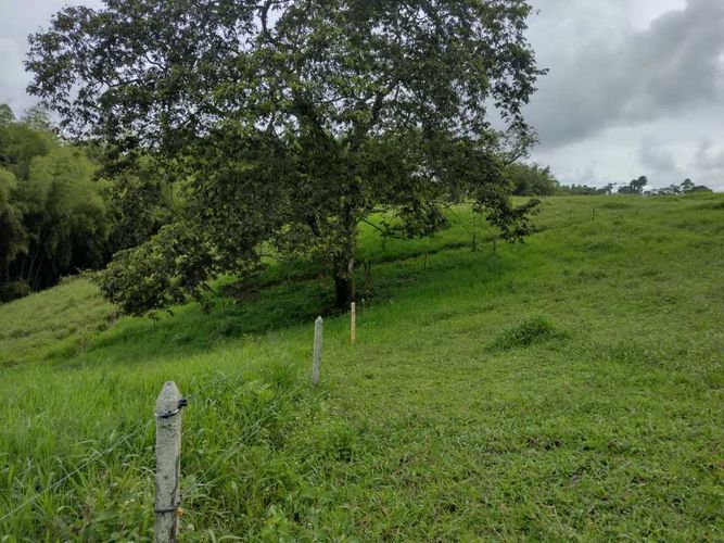 Lote en venta en La Estrella La Palm, Pereira, 3000 m² · foto 16 de 16
