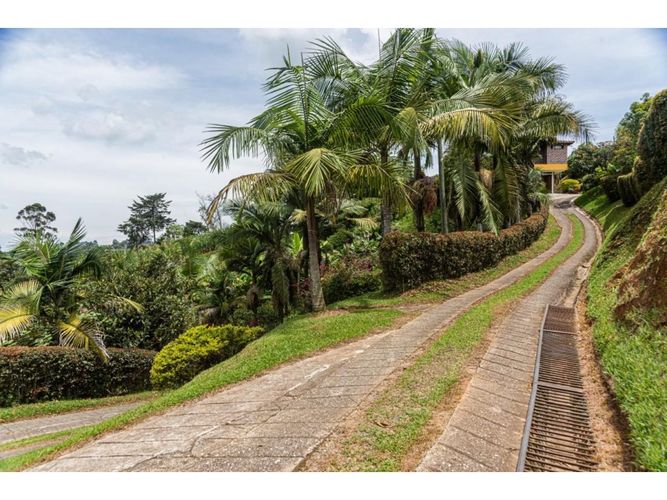 Finca en venta en El Centro, El Carmen de Viboral, 350 m² · foto 6 de 17