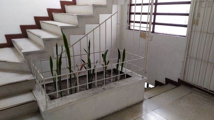 Edificio en venta en El Centro, Manizales, 751 m² · foto 15 de 24