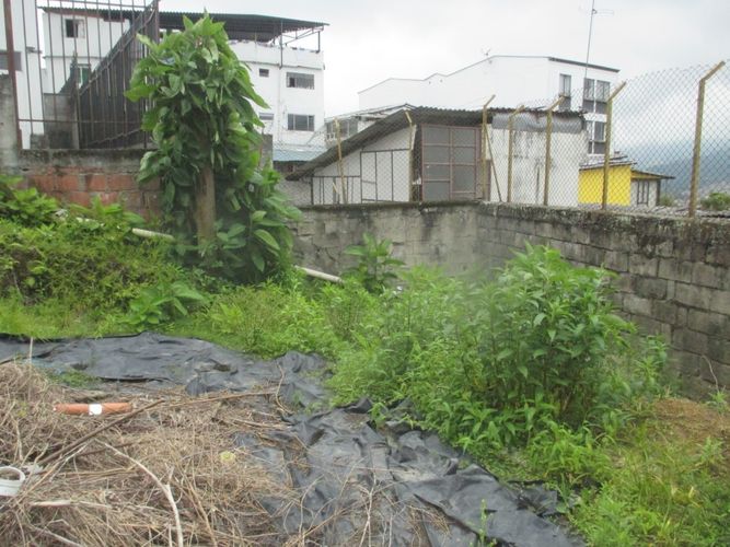 Lote en venta en Versalles, Manizales, 456 m² · foto 7 de 17