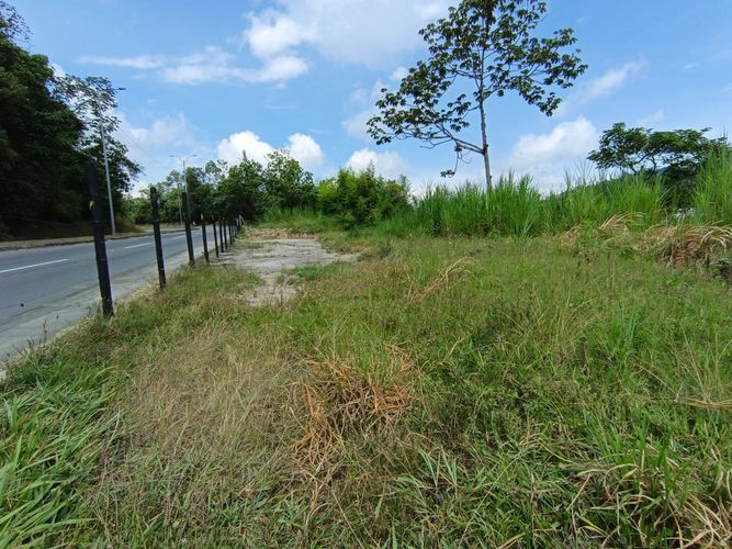 Lote en venta en Vía Panamericana, Manizales · foto 2 de 20