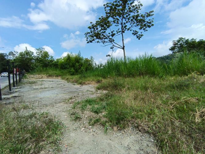 Lote en venta en Vía Panamericana, Manizales · foto 4 de 20