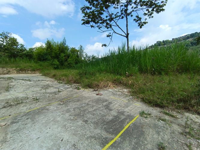 Lote en venta en Vía Panamericana, Manizales · foto 5 de 20