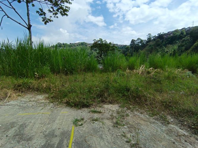 Lote en venta en Vía Panamericana, Manizales · foto 6 de 20