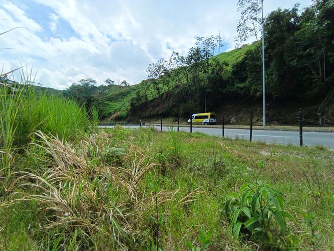 Lote en venta en Vía Panamericana, Manizales · foto 9 de 20