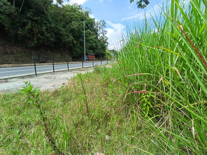 Lote en venta en Vía Panamericana, Manizales · foto 11 de 20