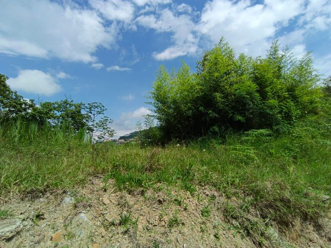 Lote en venta en Vía Panamericana, Manizales · foto 16 de 20