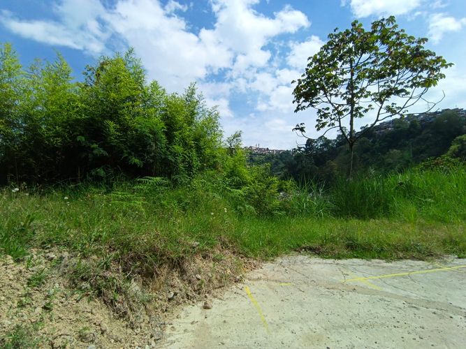 Lote en venta en Vía Panamericana, Manizales · foto 17 de 20