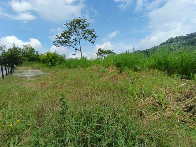 Lote en venta en Vía Panamericana, Manizales · foto 20 de 20