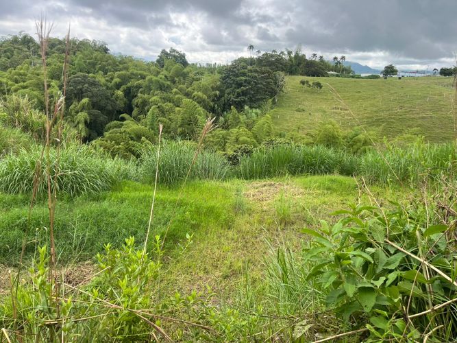 Lote en venta en Tribunas Corcega, Pereira · foto 2 de 8