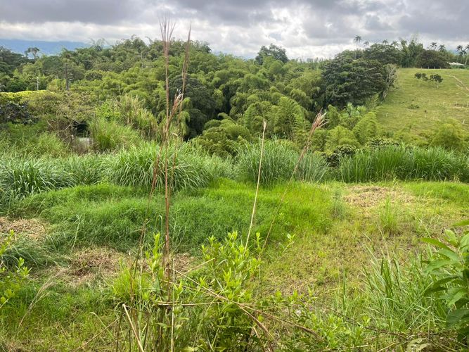 Lote en venta en Tribunas Corcega, Pereira · foto 3 de 8