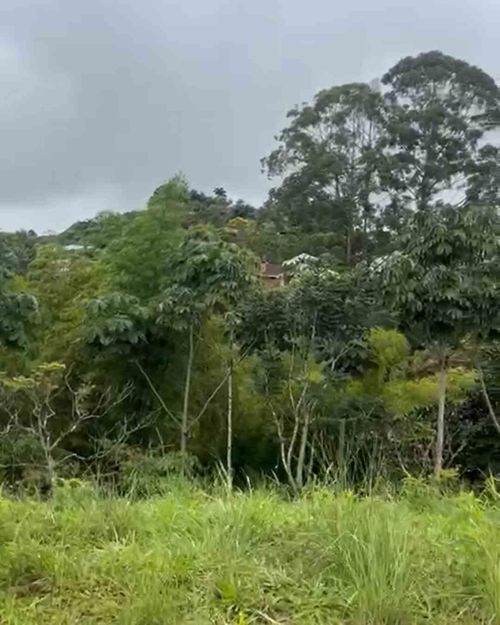 Lote en venta en Tribunas Corcega, Pereira · foto 7 de 8
