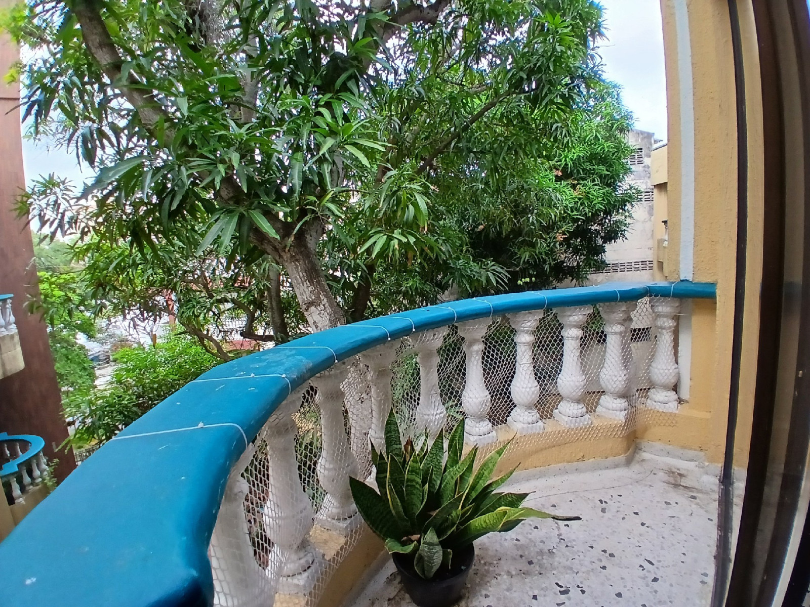 Apartamento en venta en El Prado, Barranquilla · foto 3 de 12