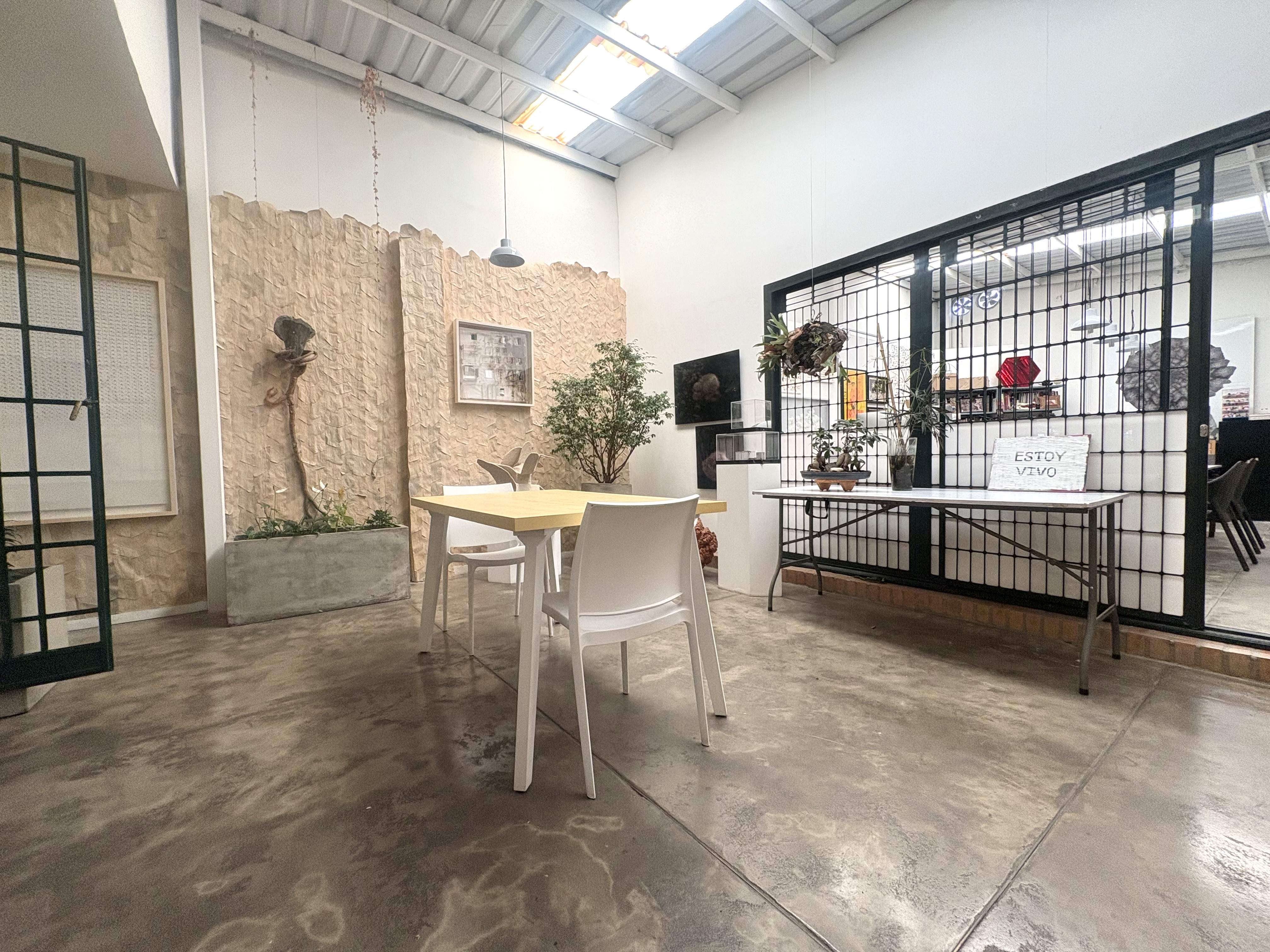 Casa en venta en Quinta Camacho, Bogotá · foto 11 de 24