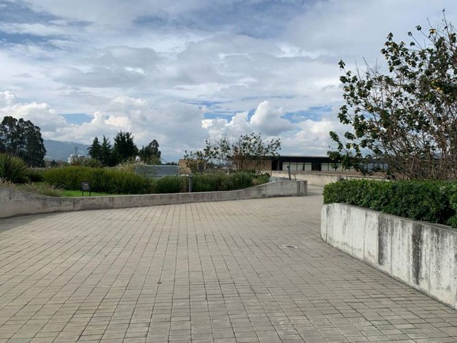 Consultorio en arriendo en Sausalito, Cajicá, 39 m² · foto 5 de 24