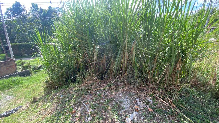 Lote en venta en Colinas Del Bosque, Dosquebradas, 50 m² · foto 4 de 10