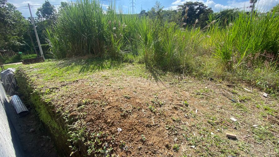 Lote en venta en Colinas Del Bosque, Dosquebradas, 50 m² · foto 5 de 10