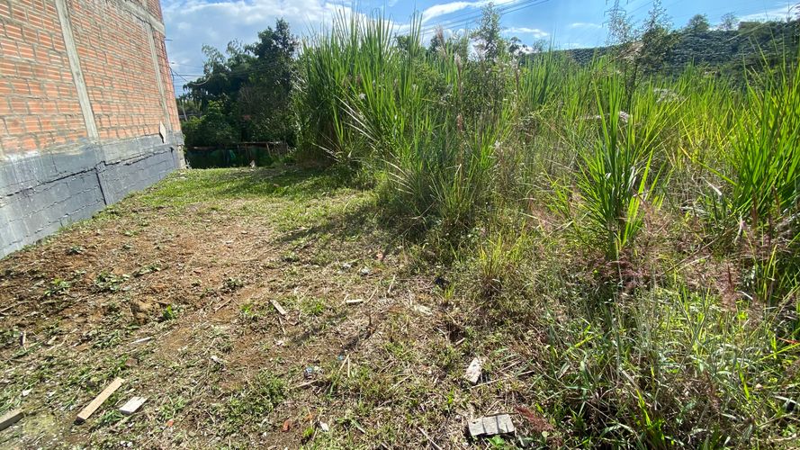Lote en venta en Colinas Del Bosque, Dosquebradas, 50 m² · foto 6 de 10