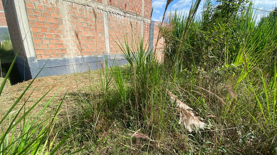 Lote en venta en Colinas Del Bosque, Dosquebradas, 50 m² · foto 7 de 10