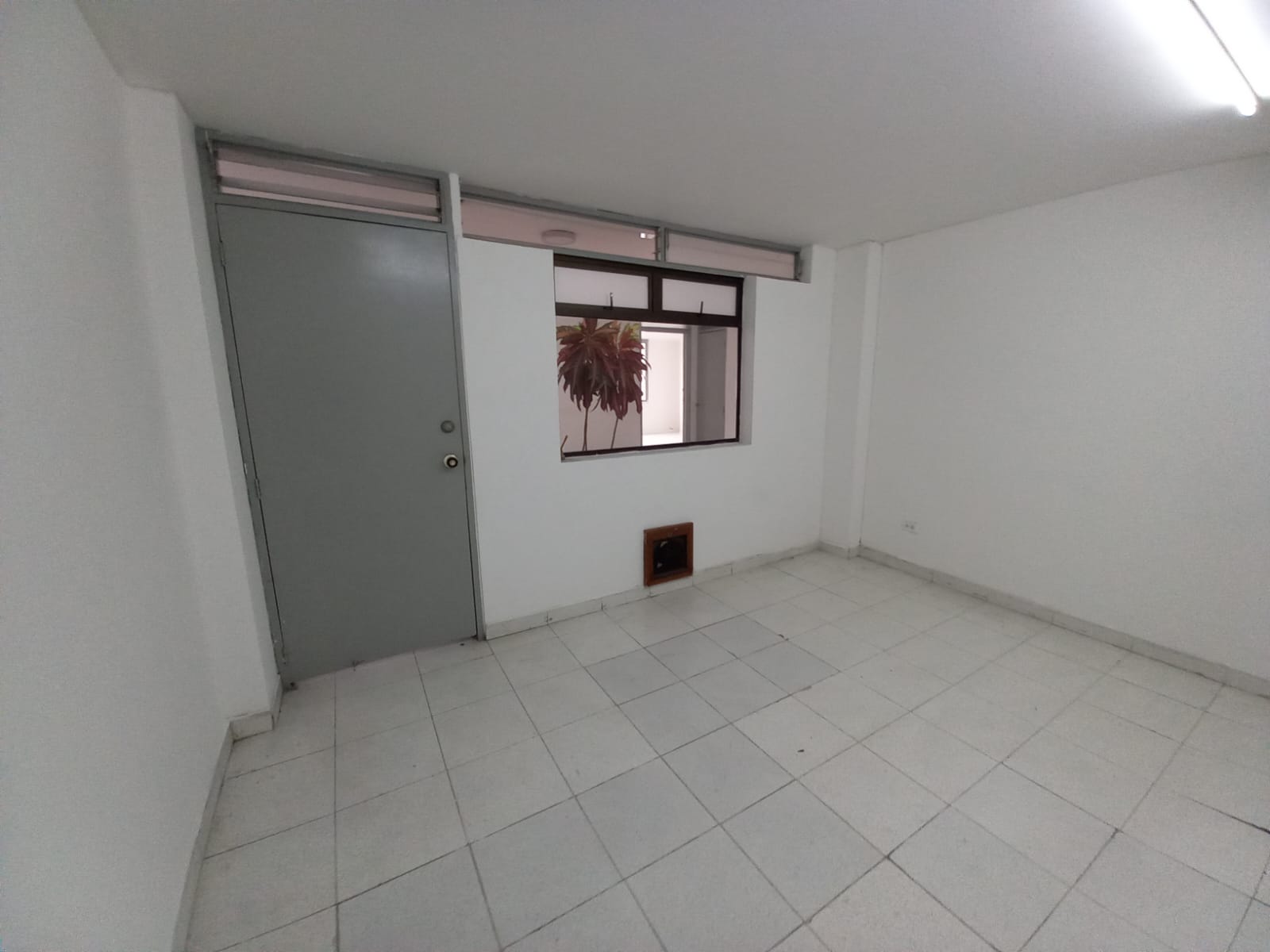 Oficina en Arriendo en El centro, Manizales