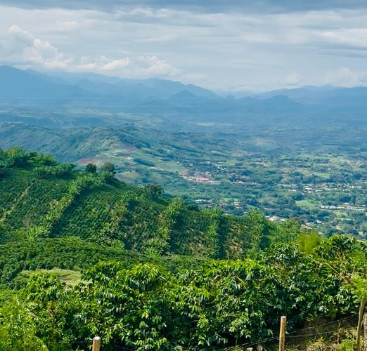 Lote en venta en Sacatin Viejo, Manizales · foto 3 de 5