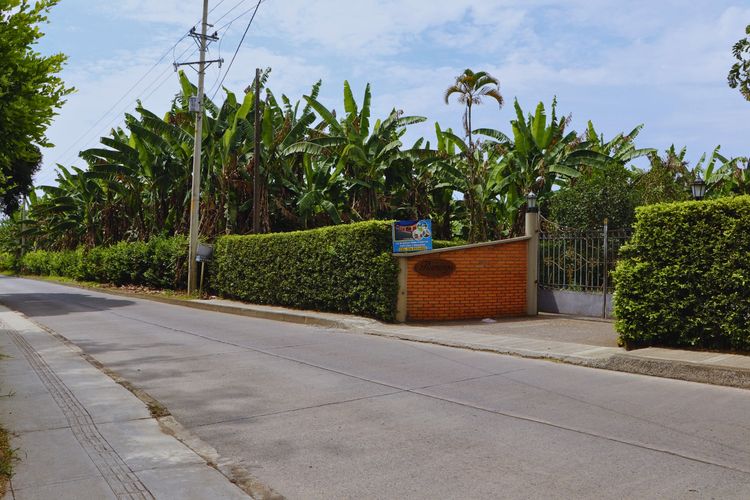 Finca en venta en Combia, Pereira, 590 m² · foto 5 de 24